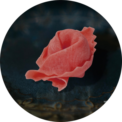 TORTELLI GEFÜLLT MIT CRUCOLO UND CRUSCO-PAPRIKA