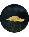 RAVIOLI RIPIENI DI BRANZINO