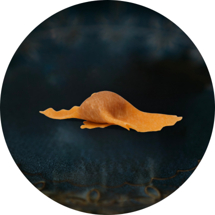 RAVIOLI DE ABÓBORA DA GISELLA